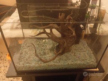 acquario 50x27xh33 completo