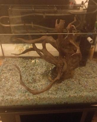 acquario 50x27xh33 completo