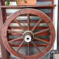 ornamentali per giardino 