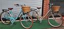 city-bike-donna-alluminio-nuove