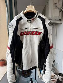 Giacca e Pantalone Dainese 56