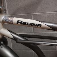 Bicicletta da passeggio con freno a pedale