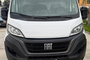 Fiat Ducato 35 2.2 Mjt 140CV PLM-TA Furgone