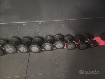 Manubri technogym