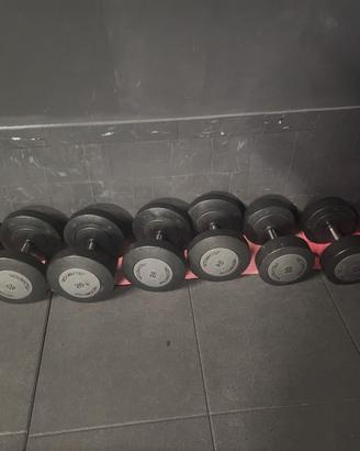 Manubri technogym