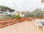 Immagine 23