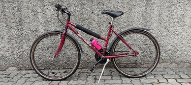 Bicicletta mountain bike
