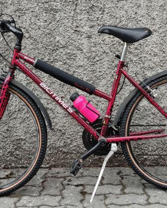 Bicicletta mountain bike