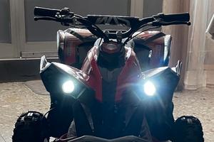 Mini Quad Elettrico