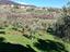 Immagine 16