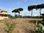 Immagine 19