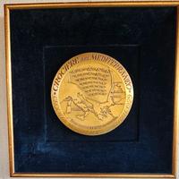 QUADRO COMMEMORATIVO CROCERA MILITARE MEDITERRANEO