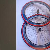 ruote full  carbon '50