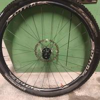 Cerchio pmp nitro 29 anteriore