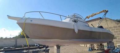 Barca Albatros 22 walk around ( si accetta permut)