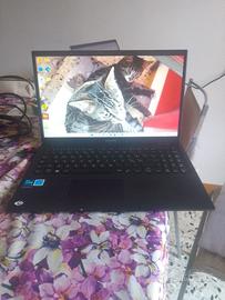 Asus ExpertBook B1 (B1502CBA) - Come Nuovo