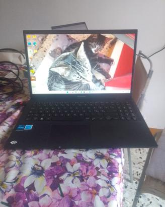 Asus ExpertBook B1 (B1502CBA) - Come Nuovo