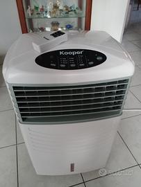 deumidificatore raffreddamento aria 