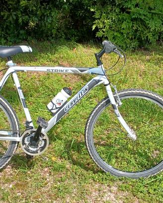 Bicicletta
