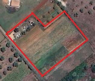 Terreno 7000mq con magazzino - Olmedo