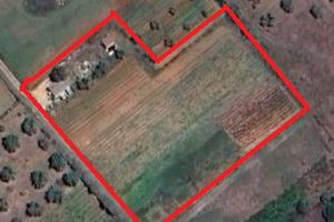 Terreno 7000mq con magazzino - Olmedo