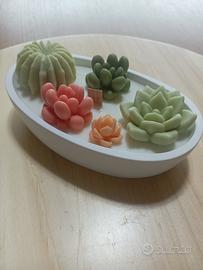 Candela profumata piante grasse in soia