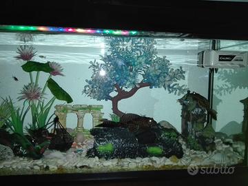 Acquario Completo di tutto nero