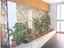 Immagine 15