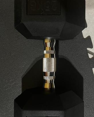 Coppie di manubri da 25 kg e da 30kg nuovi