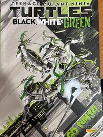 Libro tartarughe ninja 33x24