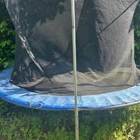 Tappeto elastico 300 cm diametro.