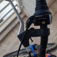 MTB bambino/ ragazzo 20" Daytona shark