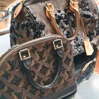 Louis Vuitton modello ALMA e SPEEDY originali 100%