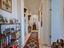 Immagine 14