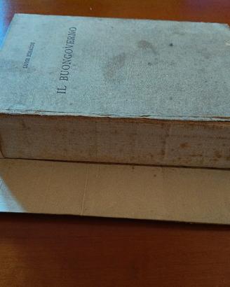 Il buongoverno. Saggi di economia e politica 