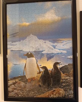 Set 3 Puzzle con Cornice 