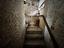 Immagine 29