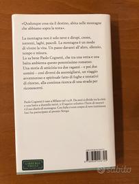 Le otto montagne di Paolo Cognetti