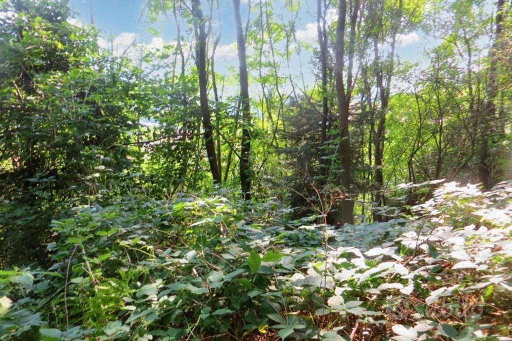 Immobile in asta di 14980 m² a Valgreghentino - Vista 3