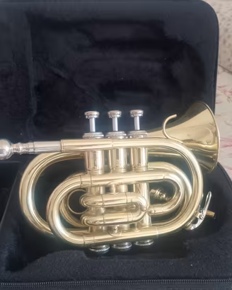 Pocket trumpet