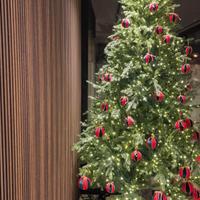 Albero di Natale 3.000 microled 210cm + 55 tronco