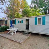 Casa mobile shelbox 8x3