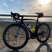 BICI DA CORSA DAMIL RS02 in carbonio