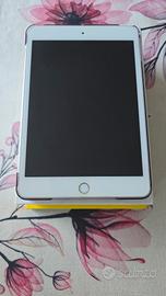 iPad mini 5 64Gb con accessori