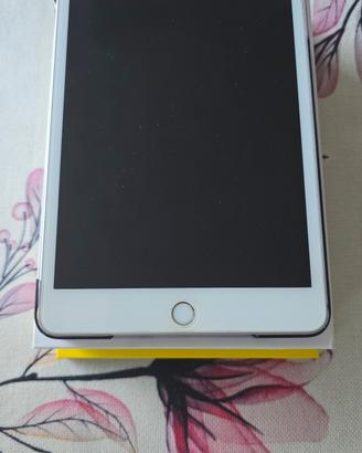 iPad mini 5 64Gb con accessori