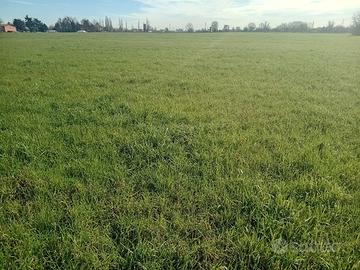 Terreno agricolo da 1000 mq. a 10000 mq