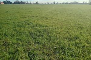 Terreno agricolo da 1000 mq. a 10000 mq