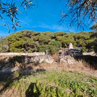 Terreno con n. 2 unita' magazzini