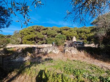 Terreno con n. 2 unita' magazzini