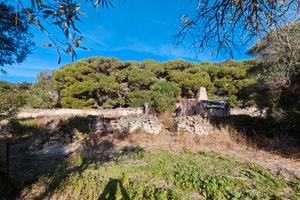 Terreno con n. 2 unita' magazzini